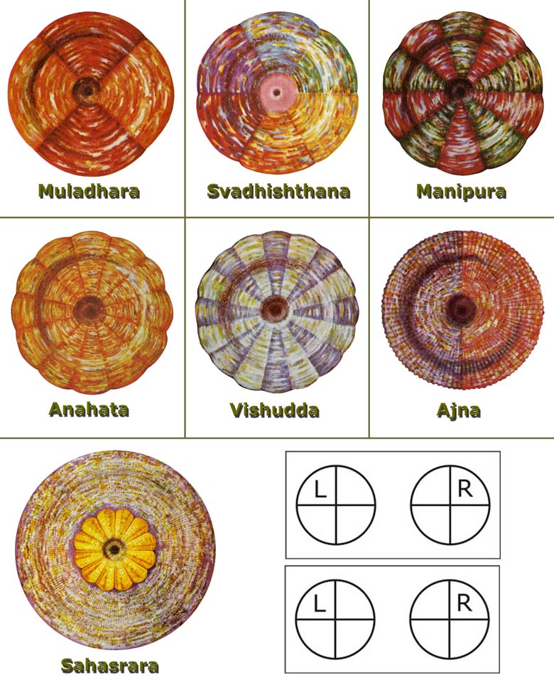 astrological houses for chi transfer